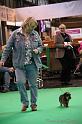 Crufts2011_2 1627